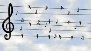 What Is The Kodaly Method? [Detailed Guide] – Dynamic Music Room
