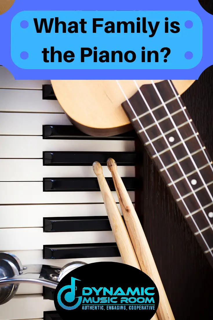 image what family is the piano in pin
