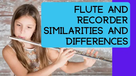 image flute and recorder similarities banner