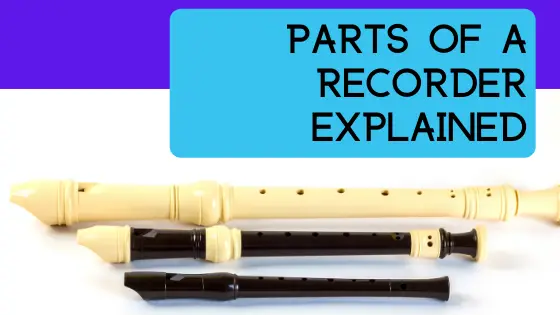 image parts of a recorder banner