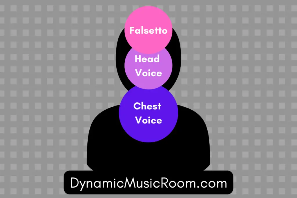 head voice chest falsetto vocal placement